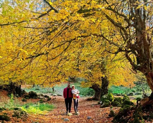 lowe-waterfall-6 مسیر آبشار لوه در پاییز