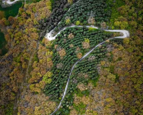 lowe-waterfall-9 مسیر جنگلی آبشار لوه