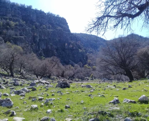 manesht-elam-(4) طبیعت زیبای مانشت ایلام