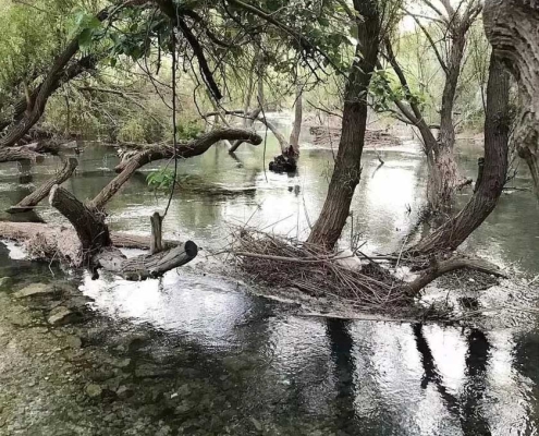 چشمه ساسون یا ساسان کازرون