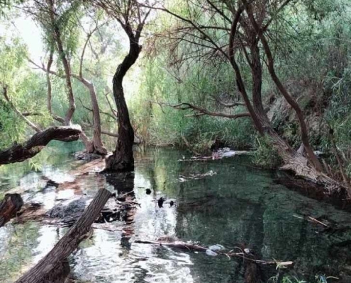 چشمه ساسان در منطقه تنگه چوگان کازرون