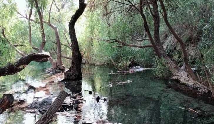 چشمه ساسان در منطقه تنگه چوگان کازرون