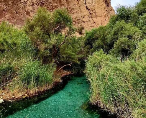 چشمه ساسان تنگه چوگان