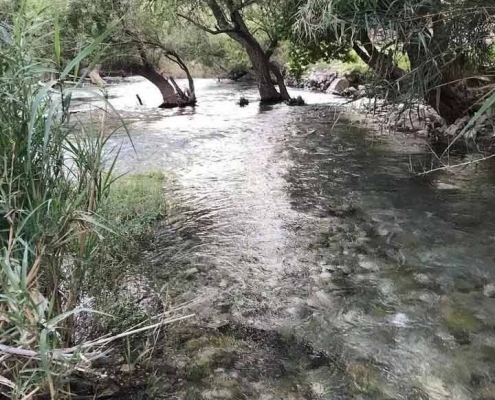 چشمه ساسان در منطقه تنگه چوگان ساسانیان کازرون