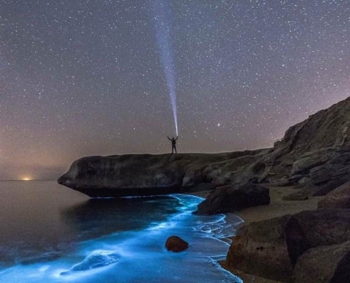 فیتوپلانگتون-های-جزیره-هرمز ساحل شن های نقره ای جزیره هرمز