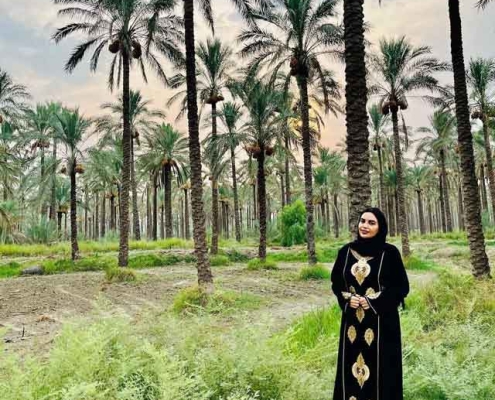 Ab-Pakhsh-palm-groves-2 نخلستان های آبپخش بوشهر