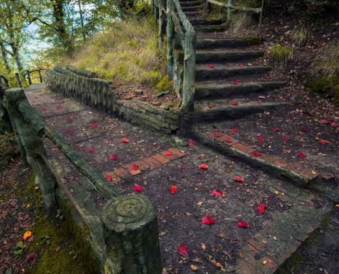 Hezar-Pelleh-Forest-Park-amol-2 پارک جنگلی هزار پله آمل