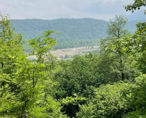 Hezar-Pelleh-Forest-Park-amol-4 پارک هزار پله آمل مازندران
