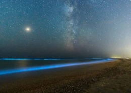 جاهای دیدنی قشم در شب فیتوپلانکتون