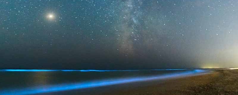 جاهای دیدنی قشم در شب فیتوپلانکتون