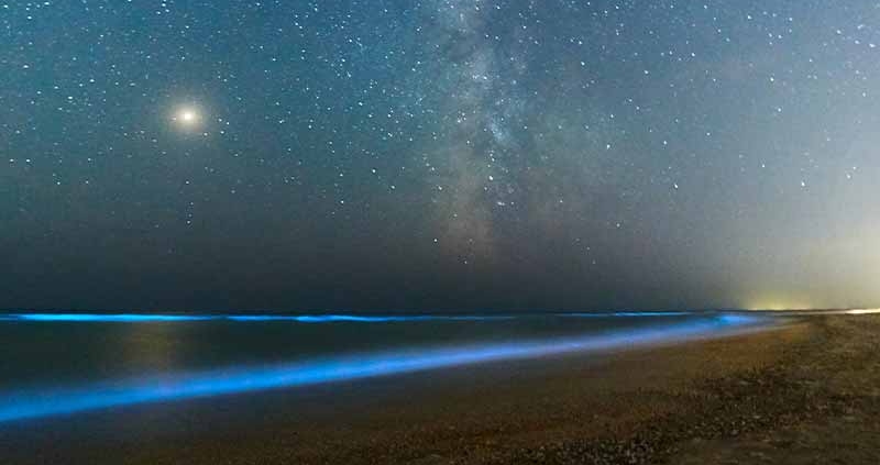 جاهای دیدنی قشم در شب فیتوپلانکتون