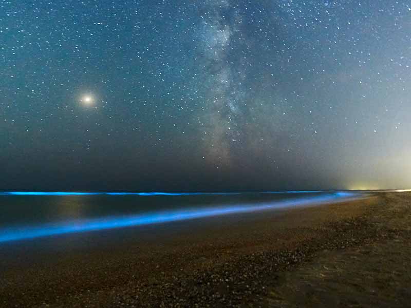 Phytoplankton-in-qeshm-at-night جاهای دیدنی قشم در شب فیتوپلانکتون