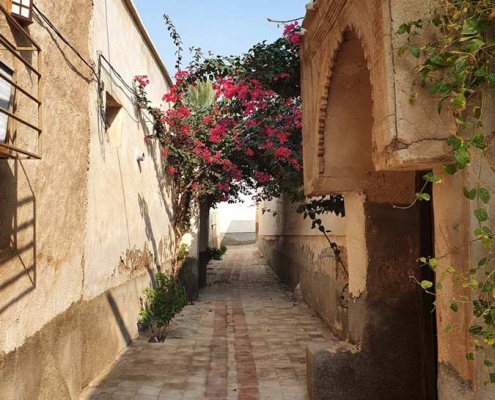 کوچه های بندر کنگ و درخت های گل کاغذی صورتی رنگ