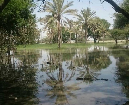 پارک شهدا خلیج فارس بندر کنگ