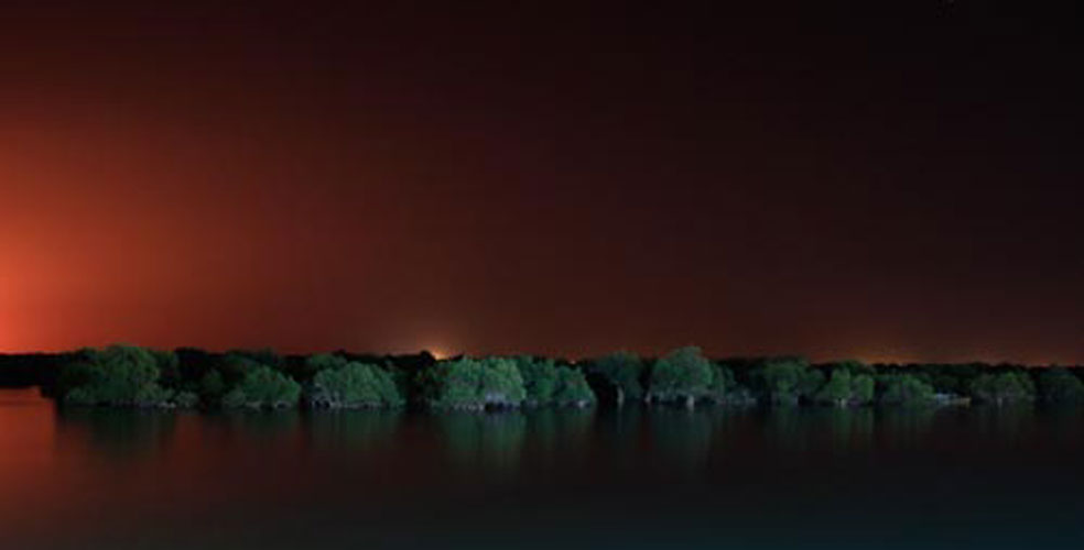 جاهای دیدنی قشم در شب 6 جنگل حرا قشم در شب