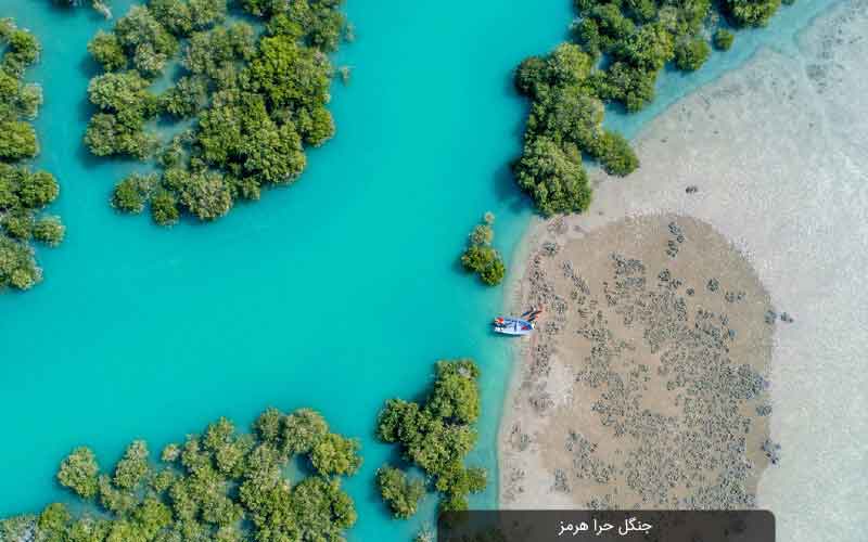 جاهای دیدنی جزیره هرمز 21 جنگل حرا هرمز