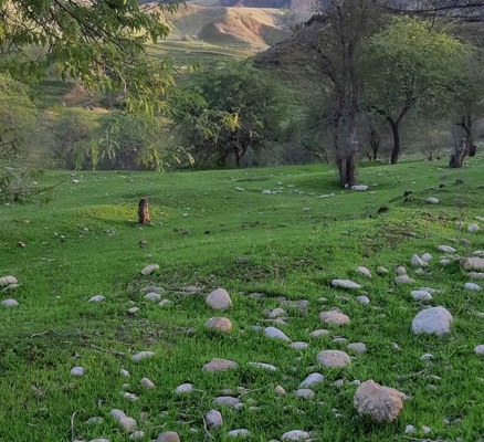 kuhe-tangevan-andimeshk-(5) کوه تنگوان و طبیعت زیبای اطراف آن در نزدیکی اندیمشک و دزفول