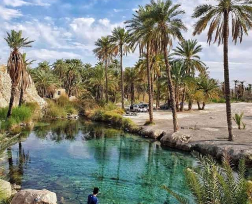 sabz-pooshan-spring-1 چشمه سبز پوشان بندرعباس