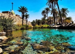 چشمه سبز پوشان
