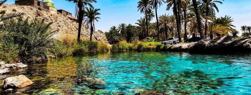 چشمه سبز پوشان