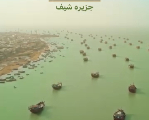 ساحل جزیره شیف بوشهر