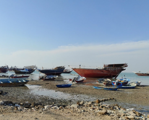 اسکله جزیره شیف بوشهر