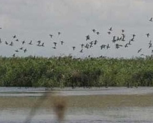 تالاب چکر بولی ایلام