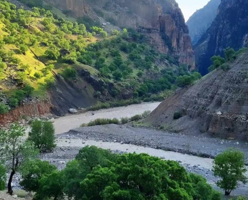 طبیعت کوه های زاکرس و شط تمی خوزستان