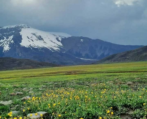 ehsan backpacker temi lake