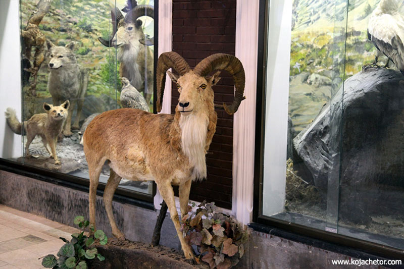 khorasan-moze موزه خراسان مشهد