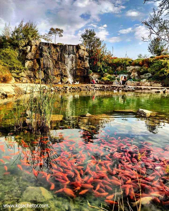 mashhad-garden-park باغ گیاهشناسی مشهد