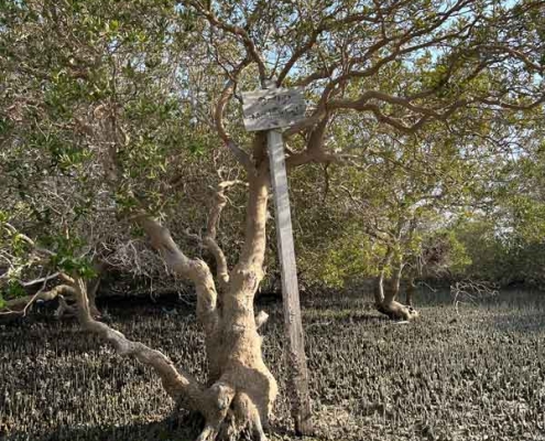 جزیره مردو در استان بوشهر