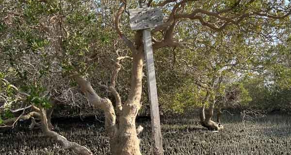 جزیره مردو در استان بوشهر