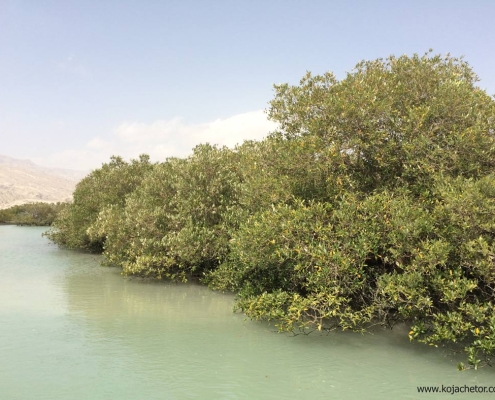 جزیره مردو در فاصله 1 ساعتی با قایق از قشم