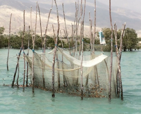 جزیره مردو و ماهیگیری