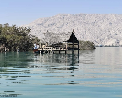 جزیره بکر و دیدنی مردو استان بوشهر از جاذبه های جنوب ایران