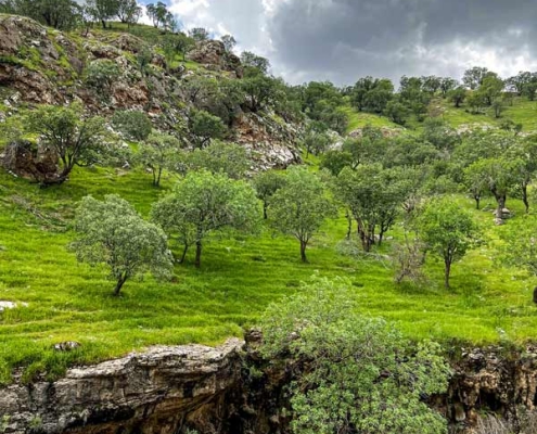 raziyaneh-strait-(3) طبیعت زیبای تنگه رازیانه