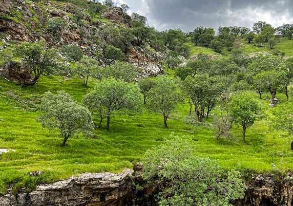 طبیعت زیبای تنگه رازیانه