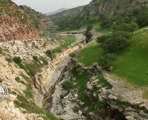 raziyaneh-strait-(6) تنگه رازیانه و پوشش گیاهی رازیانه در اطراف آن در ایلام
