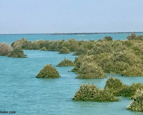 shhashemi_khourkhouran-lagoon تالاب خور خوران در خلیج فارس جنوب ایران