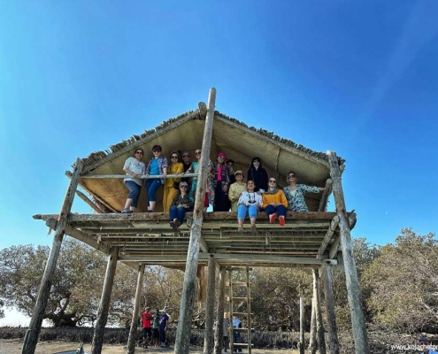 جزیره وارمی جزیره نهنگ