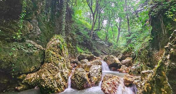 طبیعت و تنگه رزکه