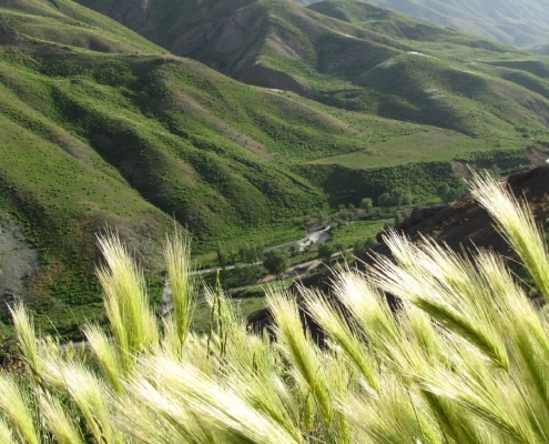 azadbar-village-2 روستای آزادبر کرج
