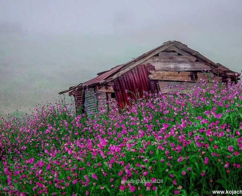 dasht-salansar-2 سلانسر در گیلان
