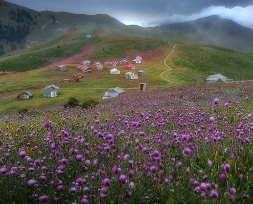 dasht-salansar-4 دشت گل سلانسر رستم آباد رودبار گیلان