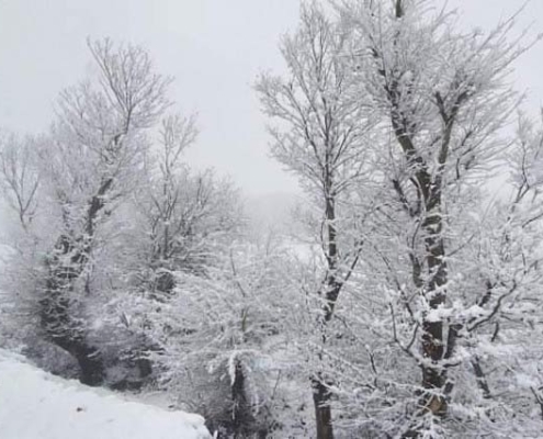 salansar-rostam-abad رستم آباد سلانسر در زمستان