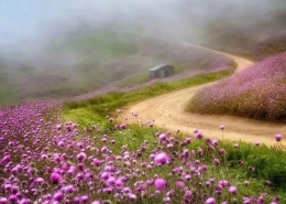 دشت سلانسر ییلاق سلانسر گیلان رودبار رستم آباد