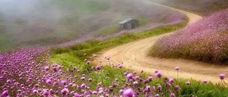 دشت سلانسر ییلاق سلانسر گیلان رودبار رستم آباد