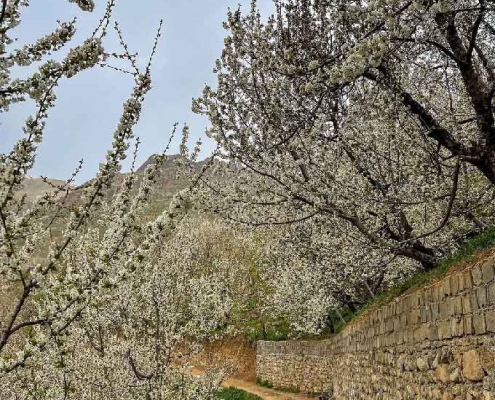 sangan-waterfall-3 مسیر پیاده روی آبشار سنگان در بهار