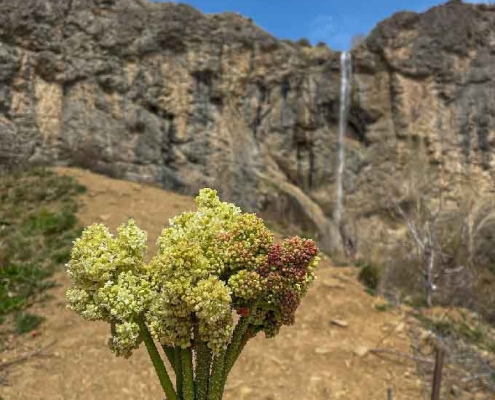 sangan-waterfall-5 آبشار سنگان تهران در جاده امامزاده داوود